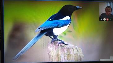 0603l1bc-1dde-365x205.jpg