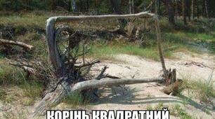 Звідки взявся квадратний корінь?