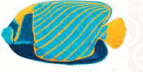 0603l4ob-f53d-190x95.png