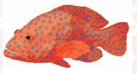0603l4pa-5405-253x136.png