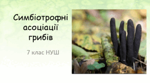 Презентація "Симбіотрофні асоціації грибів"