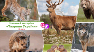 Наочний матеріал "Тварини України"