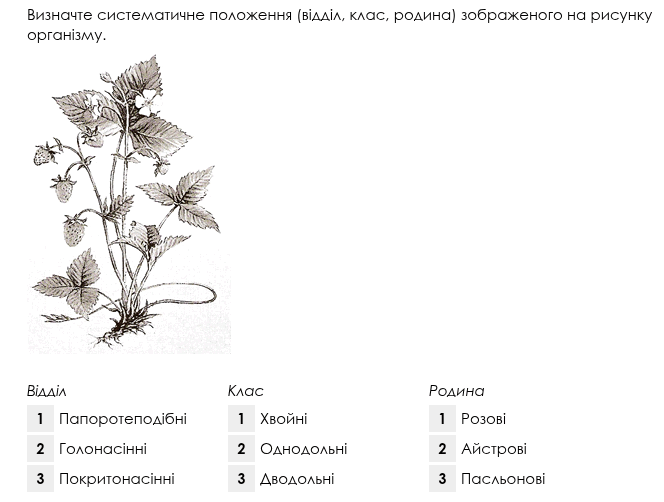 0603l70h-bd40-664x502.png