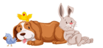 0603l71q-54bb-205x97.png