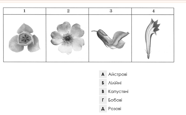 0603lac1-b459-648x402.png