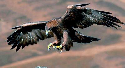 0603ldlr-29c1-400x218.jpg