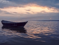 0603lfaz-7bb2-314x237.png