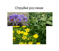 0603lgt8-dcd0-232x203.png