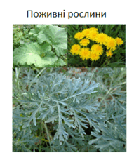 0603lgtq-126f-191x228.png