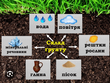 0603libs-c507-353x268.png