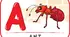 Letter A (Англійська абетка: літера Аа)