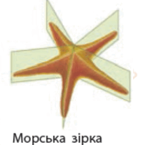 0603ljun-6ea4-284x293.png