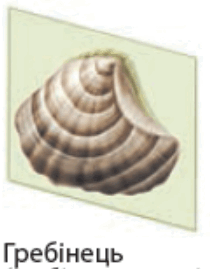 0603ljv9-b818-210x269.png
