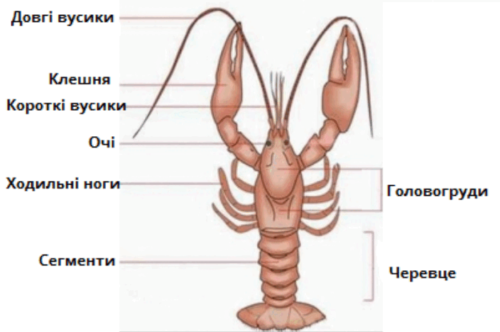 0603lk0v-e53e-704x468.png