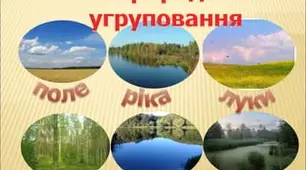 Узагальнюючий урок з предмету "Я досліджую світ" за темою: "Природні угруповання" 3 клас