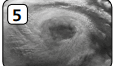 0603lm6r-c1fe-113x66.png