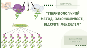 Гібридологічний метод. Закономірності, відкриті Менделем 10 клас