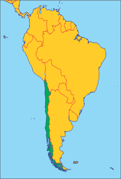 0603ln44-0055-249x369.png