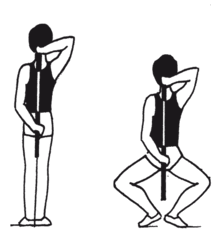 0603lnb6-6945-217x234.png