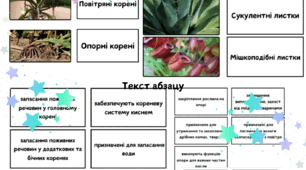 Видозміни кореня