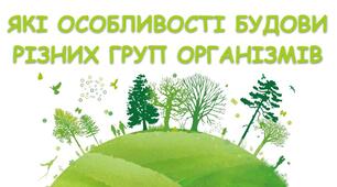 Які особливості будови різних організмів