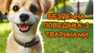 Буклет "Безпечна поведінка з тваринами". Тиждень боротьби зі сказом