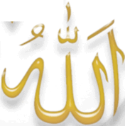 0603lz51-4a88-176x178.png
