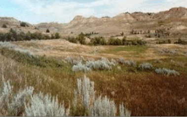 0603lzie-c0e9-379x238.png