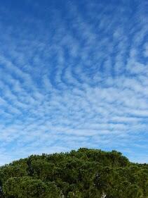 0603m0ks-d13d-211x281.jpg