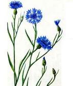 0603m2dm-1d4d-143x168.jpg