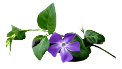 0603m3k5-0eb8-283x162.png