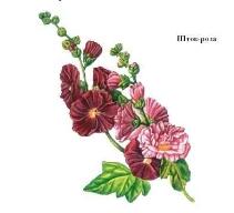 0603m3vu-7720-211x192.jpg