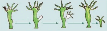 0603m699-92d8-353x104.png