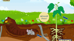Ґрунт. Властивості, значення.