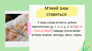 М'який знак. Правопис знака м'якшення.