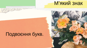 Подвоєння літер на межі частин слова. Подовження приголосних