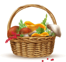 0603m7il-5174-272x253.png