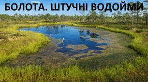 Презентація до уроку: "БОЛОТА. ШТУЧНІ ВОДОЙМИ "