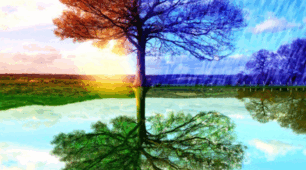 Підсумкова робота.WHAT’S THE WEATHER LIKE TODAY ? ГР4