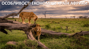Презентація до уроку: "ОСОБЛИВОСТІ ЕКОНОМІКИ КРАЇН АФРИКИ"