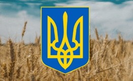 0603mdnf-f39a-262x160.png