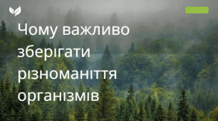 Чому важливо зберігати різноманіття організмів