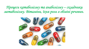 Процеси катаболізму та анаболізму – складники метаболізму. Вітаміни, їхня роль в обміні речовин. 8 клас НУШ