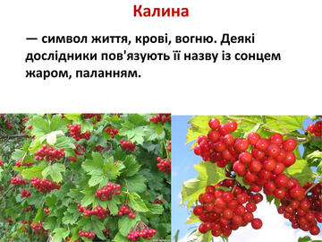 0603mh0m-5f20-360x270.jpg
