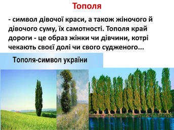 0603mh0q-30a6-344x258.jpg