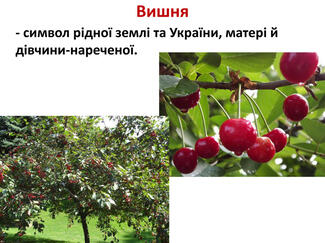 0603mh18-f96c-325x243.jpg