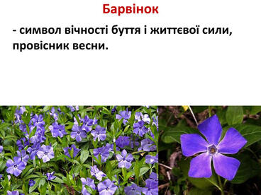 0603mh1x-1d2b-368x276.jpg