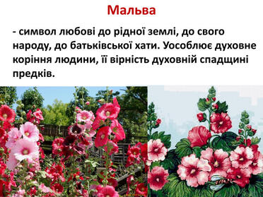 0603mh25-ec87-372x279.jpg