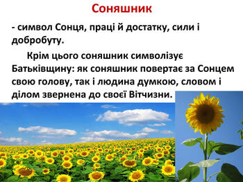 0603mh2d-c4e6-350x263.jpg