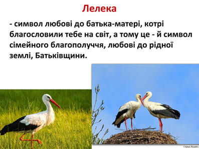 0603mh2n-853b-397x298.jpg